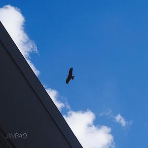 91蝌蚪91💃👅密月
