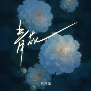 91蝌蚪91💃👅密月
